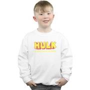 Sweat-shirt enfant Marvel AKA Robert Bruce Banner