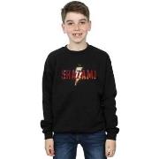 Sweat-shirt enfant Dc Comics BI32802