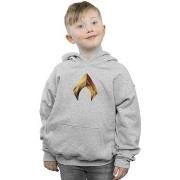 Sweat-shirt enfant Dc Comics Aquaman Emblem