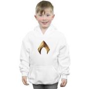 Sweat-shirt enfant Dc Comics BI3011