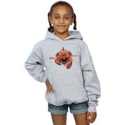 Sweat-shirt enfant Dc Comics BI3130