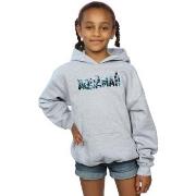 Sweat-shirt enfant Dc Comics Aquaman Text Logo