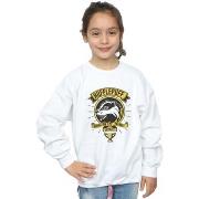 Sweat-shirt enfant Harry Potter BI20684