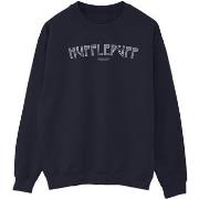 Sweat-shirt Harry Potter BI21168