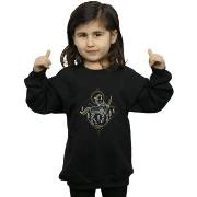 Sweat-shirt enfant Harry Potter BI20118