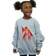 Sweat-shirt enfant Harry Potter BI20139