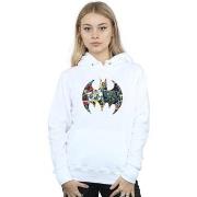 Sweat-shirt Dc Comics BI3823