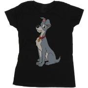 T-shirt Disney Lady And The Tramp