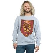 Sweat-shirt Harry Potter Gryffindor Crest Flat