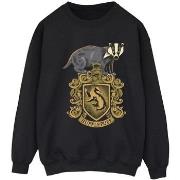 Sweat-shirt Harry Potter BI21534