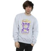 Sweat-shirt Harry Potter Chocolate Frogs Coloured Label