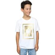 T-shirt enfant Dc Comics BI33626