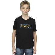 T-shirt enfant Dc Comics Fury Of The Gods