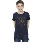 T-shirt enfant Dc Comics Fury Of The Gods