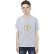 T-shirt enfant Dc Comics Fury Of The Gods