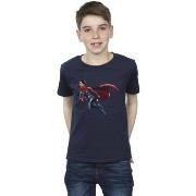 T-shirt enfant Dc Comics BI39244