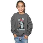 Sweat-shirt enfant Dessins Animés BI23915