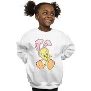 Sweat-shirt enfant Dessins Animés BI23953