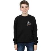 Sweat-shirt enfant Dessins Animés BI37829