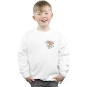 Sweat-shirt enfant Dessins Animés BI37854