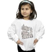 Sweat-shirt enfant Dessins Animés BI39352