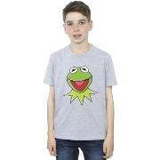 T-shirt enfant Disney Muppets