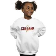 Sweat-shirt enfant Dc Comics BI33911