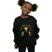 Sweat-shirt enfant Dc Comics BI33931