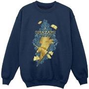 Sweat-shirt enfant Dc Comics Fury Of The Gods