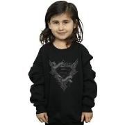 Sweat-shirt enfant Dc Comics BI34162