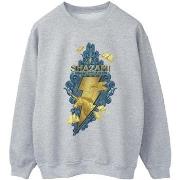 Sweat-shirt Dc Comics BI35137