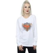 Sweat-shirt Dc Comics BI35225