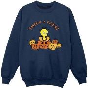 Sweat-shirt enfant Dessins Animés Twick Or Tweat