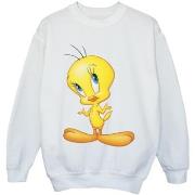 Sweat-shirt enfant Dessins Animés BI24400