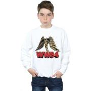 Sweat-shirt enfant Dc Comics 84