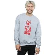 Sweat-shirt Scooby Doo Crazy Cool