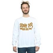 Sweat-shirt Scooby Doo Where Are You