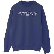 Sweat-shirt Harry Potter Hufflepuff Logo
