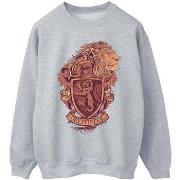 Sweat-shirt Harry Potter Gryffindor Sketch Crest