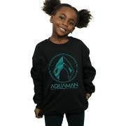 Sweat-shirt enfant Dc Comics BI6318