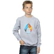 Sweat-shirt enfant Dc Comics BI6356