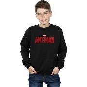 Sweat-shirt enfant Marvel BI5807