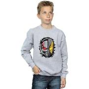 Sweat-shirt enfant Marvel Ant-Man Split Helmet