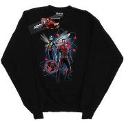 Sweat-shirt Marvel Ant-Man And The Wasp Particle Pose