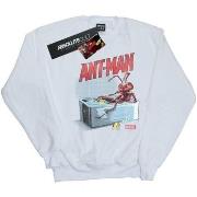 Sweat-shirt Marvel Bathing Ant