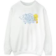 Sweat-shirt Dessins Animés ACME