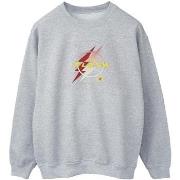 Sweat-shirt Dc Comics BI41161