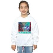 Sweat-shirt enfant Dc Comics 84