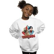 Sweat-shirt enfant Dc Comics 84