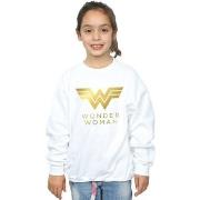 Sweat-shirt enfant Dc Comics 84